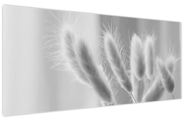 Slika - Zečji rep trava (120x50 cm)