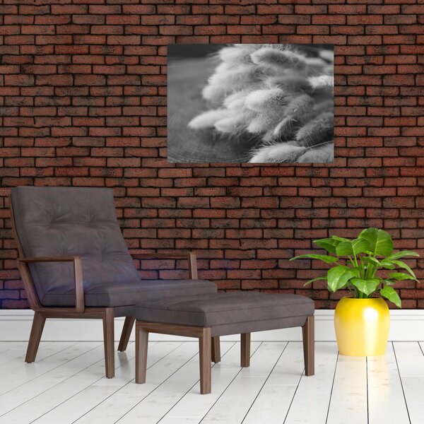 Slika - zečji rep trava na stolu (70x50 cm)