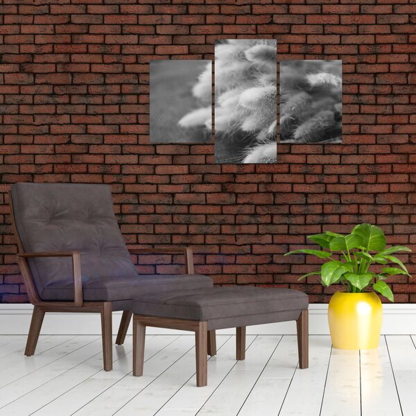 Slika - zečji rep trava na stolu (90x60 cm)