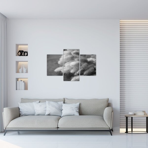 Slika - zečji rep trava na stolu (90x60 cm)
