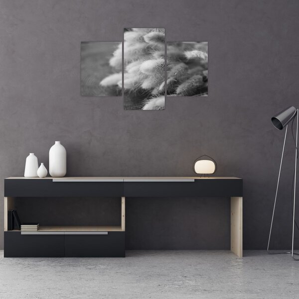 Slika - zečji rep trava na stolu (90x60 cm)