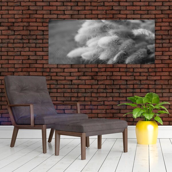 Slika - zečji rep trava na stolu (120x50 cm)