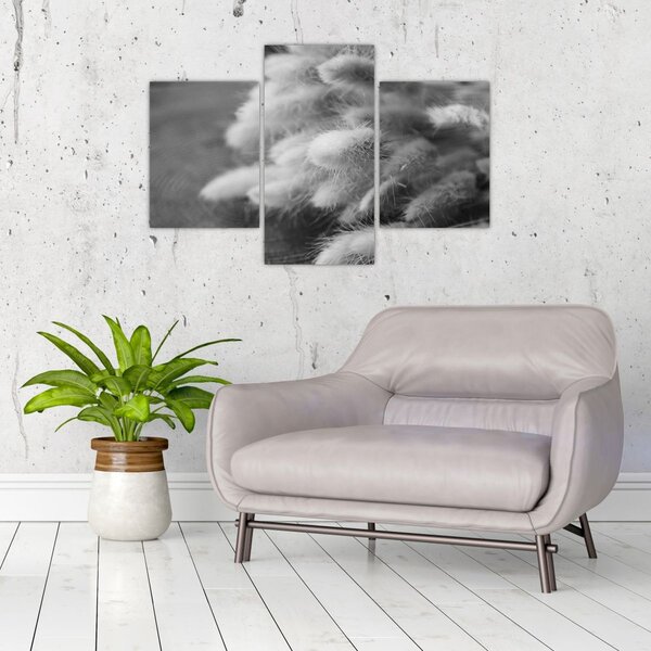 Slika - zečji rep trava na stolu (90x60 cm)