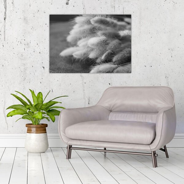 Slika - zečji rep trava na stolu (70x50 cm)