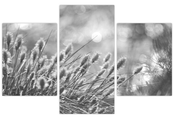 Slika - Bež mekana trava N⁰1 (90x60 cm)