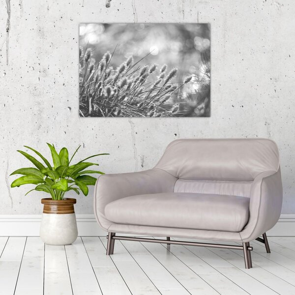 Slika - Bež mekana trava N⁰1 (70x50 cm)