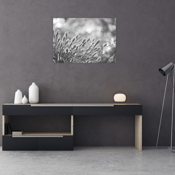Slika - Bež mekana trava N⁰1 (70x50 cm)