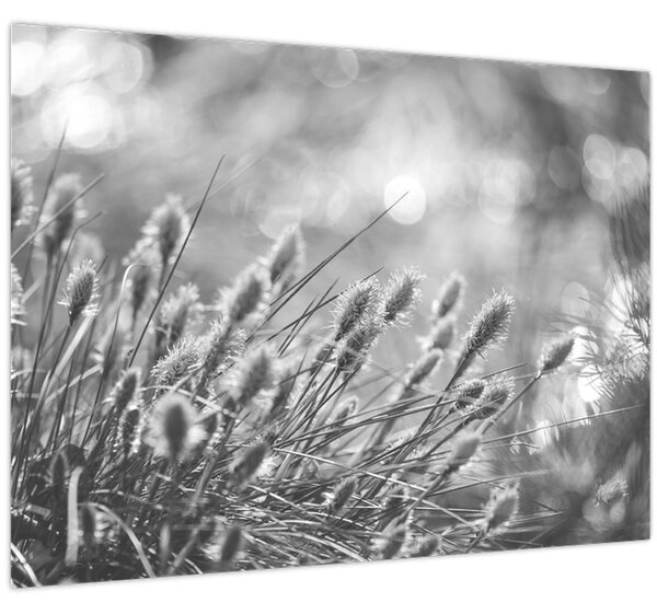 Slika - Bež mekana trava N⁰1 (70x50 cm)