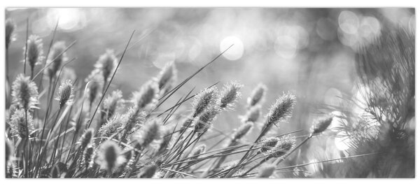 Slika - Bež mekana trava N⁰1 (120x50 cm)