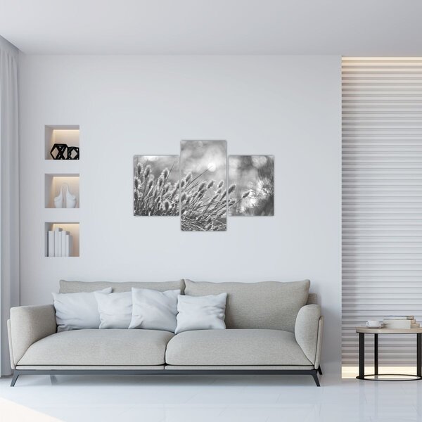Slika - Bež mekana trava N⁰1 (90x60 cm)
