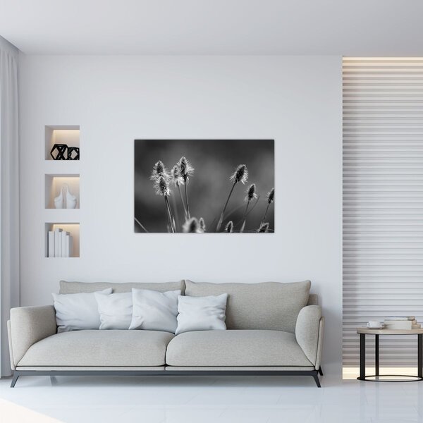 Slika - Bež mekana trava N⁰2 (90x60 cm)