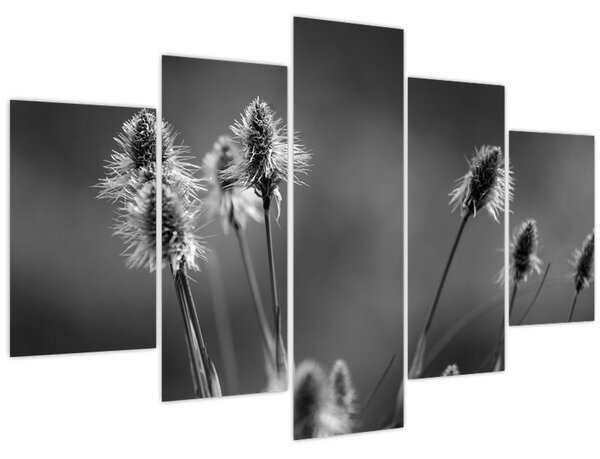 Slika - Bež mekana trava N⁰2 (150x105 cm)