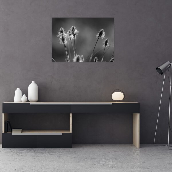 Slika - Bež mekana trava N⁰2 (70x50 cm)