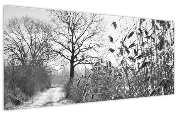 Slika - Polja zimi (120x50 cm)