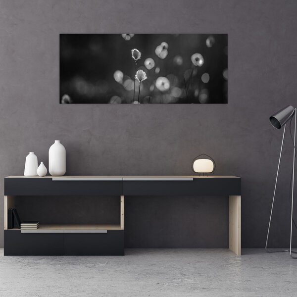 Slika - Cottongras na livadi (120x50 cm)