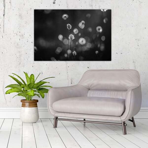 Slika - Cottongras na livadi (90x60 cm)