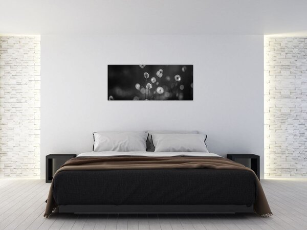 Slika - Cottongras na livadi (120x50 cm)