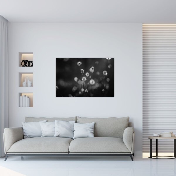 Slika - Cottongras na livadi (90x60 cm)