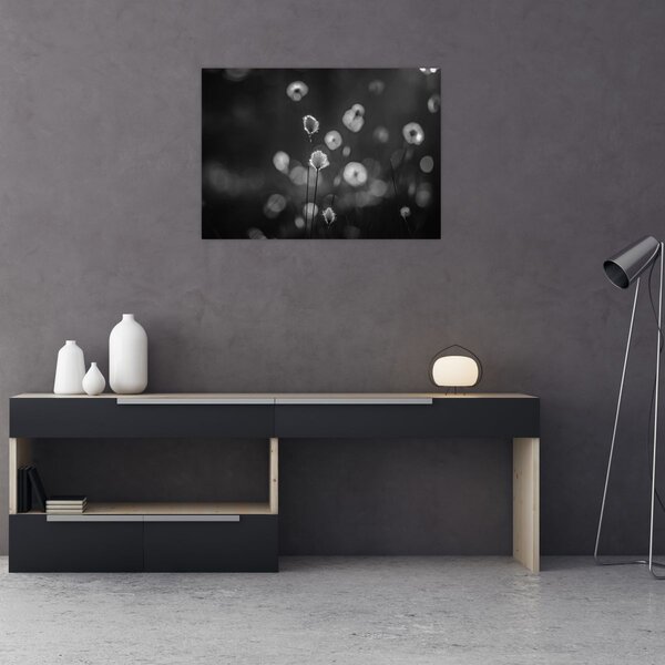 Slika - Cottongras na livadi (70x50 cm)
