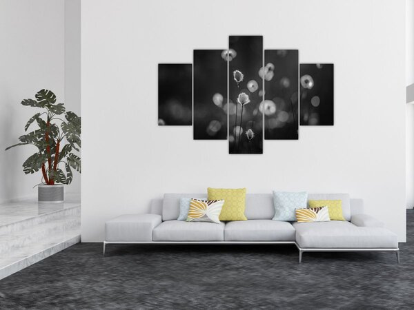 Slika - Cottongras na livadi (150x105 cm)