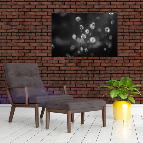 Slika - Cottongras na livadi (90x60 cm)