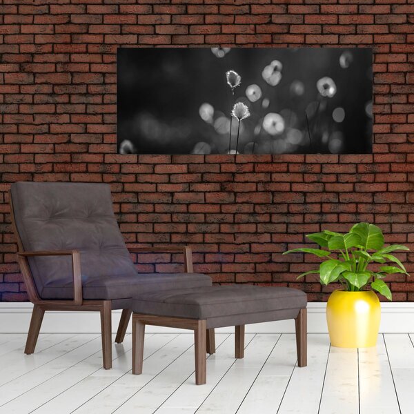 Slika - Cottongras na livadi (120x50 cm)