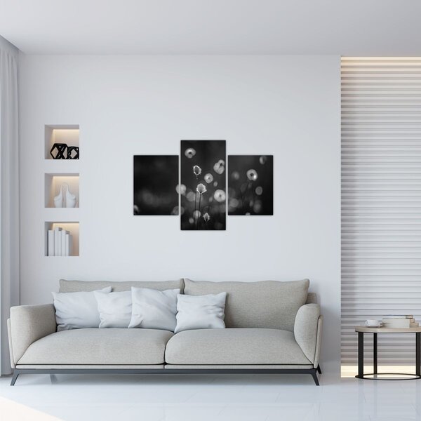 Slika - Cottongras na livadi (90x60 cm)
