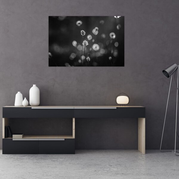 Slika - Cottongras na livadi (90x60 cm)