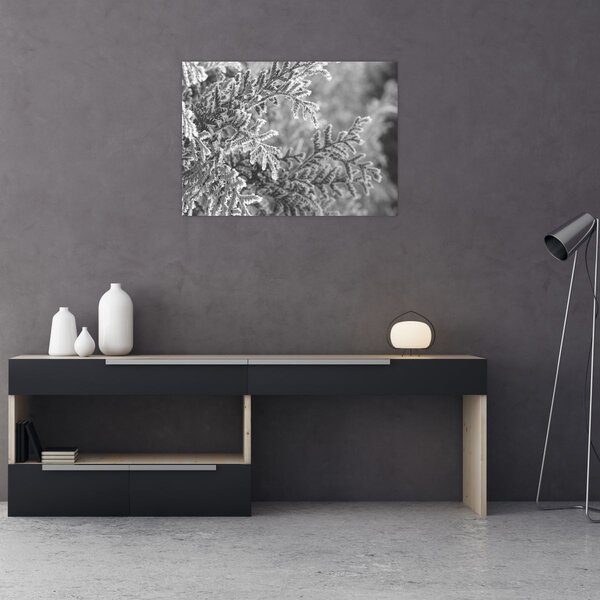Slika - Šuma smreke (70x50 cm)