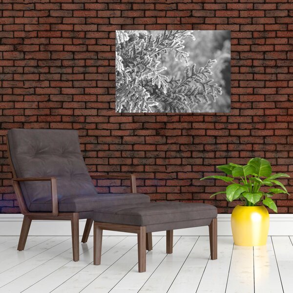 Slika - Šuma smreke (70x50 cm)