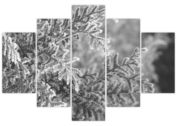 Slika - Šuma smreke (150x105 cm)