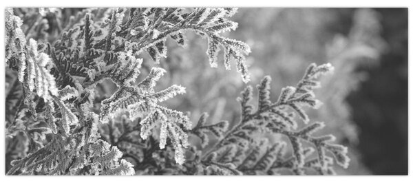Slika - Šuma smreke (120x50 cm)