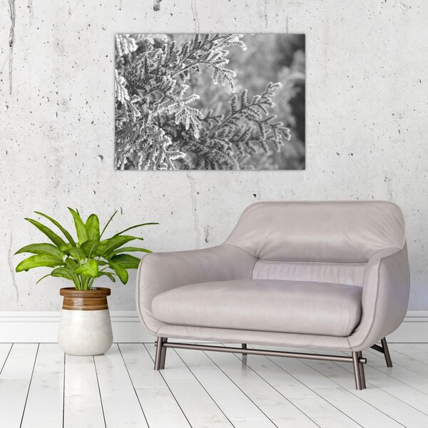 Slika - Šuma smreke (70x50 cm)