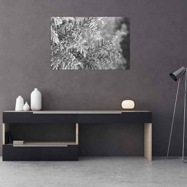 Slika - Šuma smreke (90x60 cm)