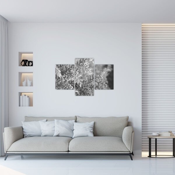 Slika - Šuma smreke (90x60 cm)