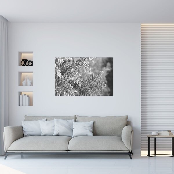 Slika - Šuma smreke (90x60 cm)