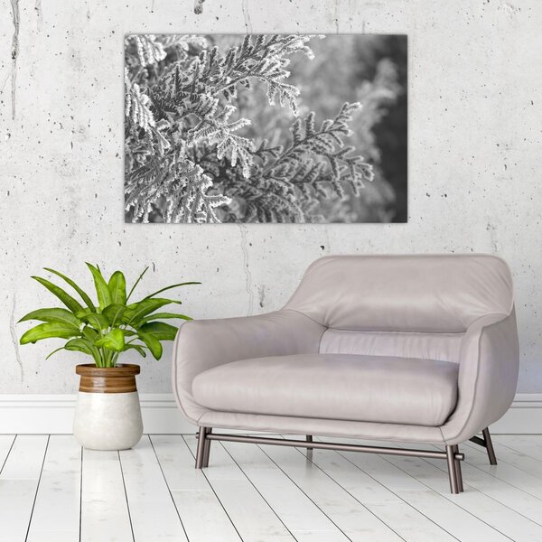 Slika - Šuma smreke (90x60 cm)