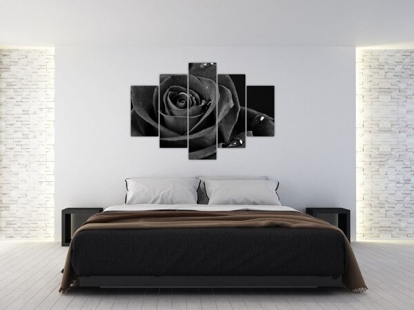 Slika - Grimizna ruža (150x105 cm)