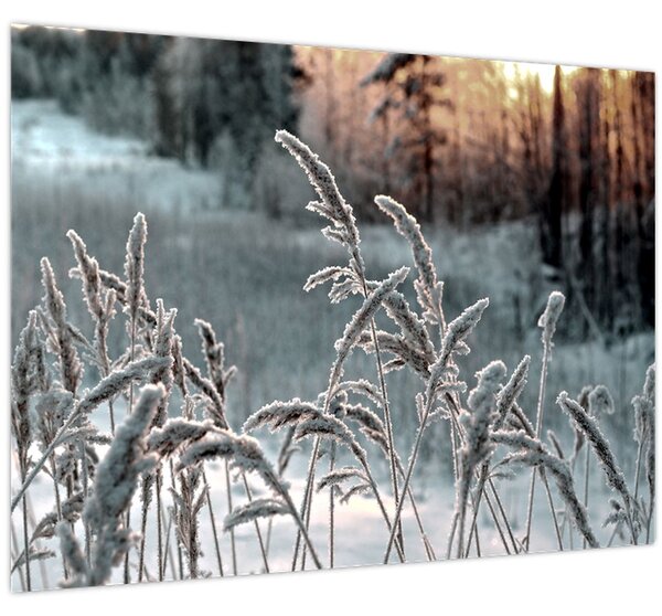Slika - Smrznuta livada (70x50 cm)