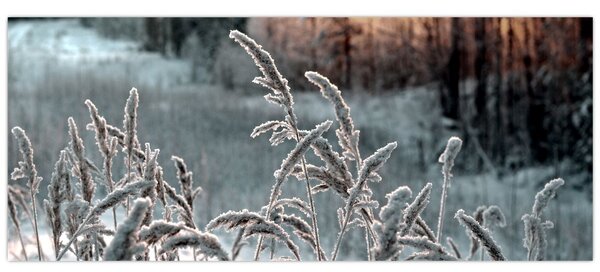 Slika - Smrznuta livada (120x50 cm)