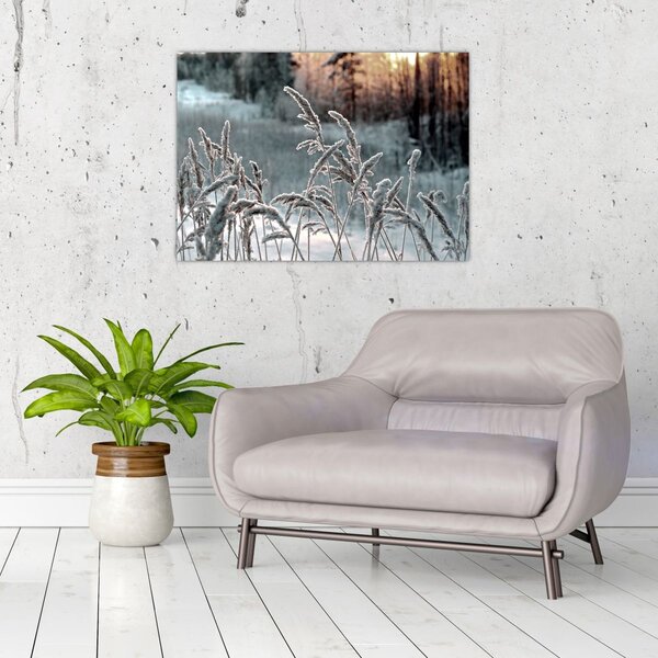 Slika - Smrznuta livada (70x50 cm)