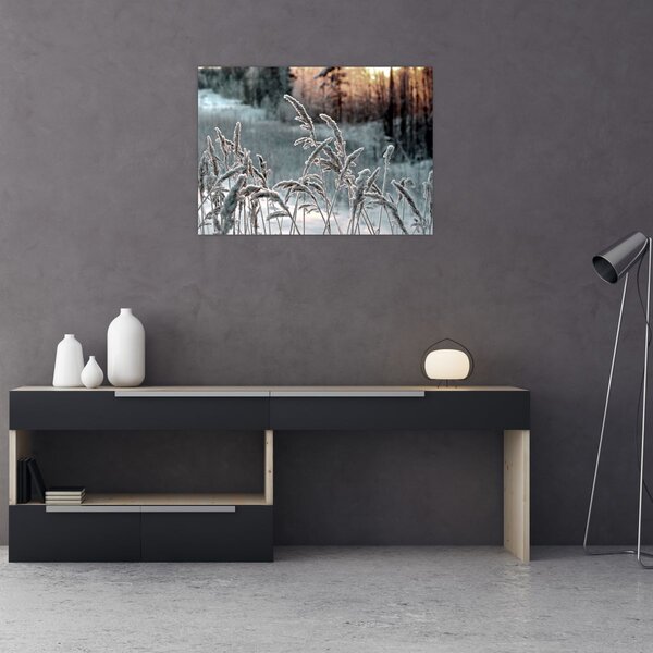 Slika - Smrznuta livada (70x50 cm)