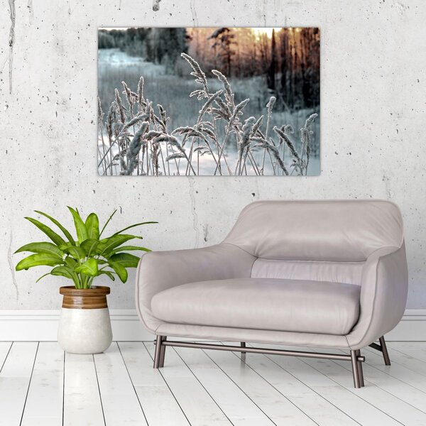 Slika - Smrznuta livada (90x60 cm)