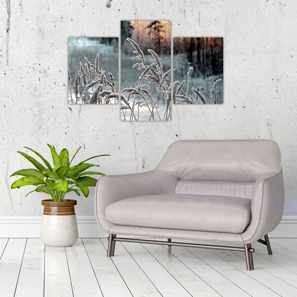 Slika - Smrznuta livada (90x60 cm)