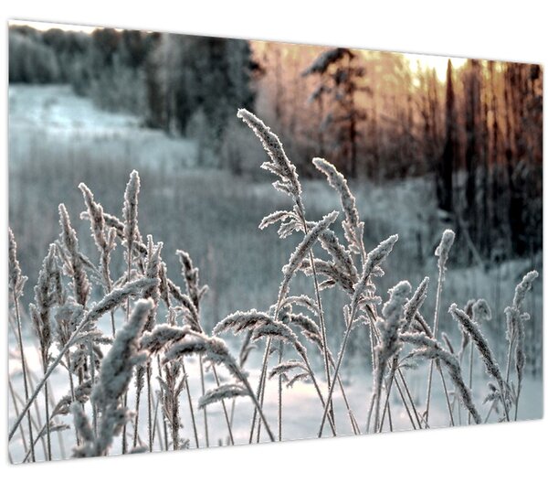 Slika - Smrznuta livada (90x60 cm)