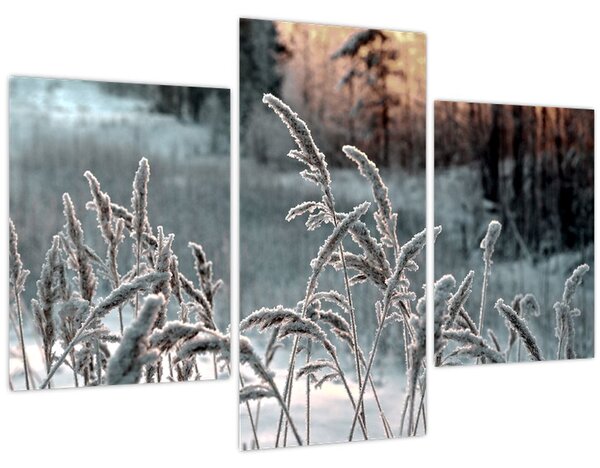Slika - Smrznuta livada (90x60 cm)