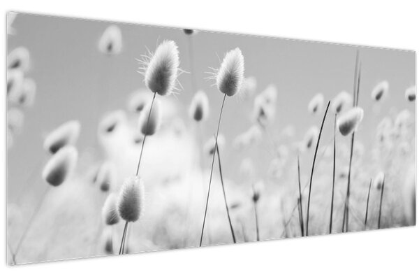 Slika - Boho trava od zečjeg repa (120x50 cm)