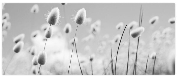 Slika - Boho trava od zečjeg repa (120x50 cm)