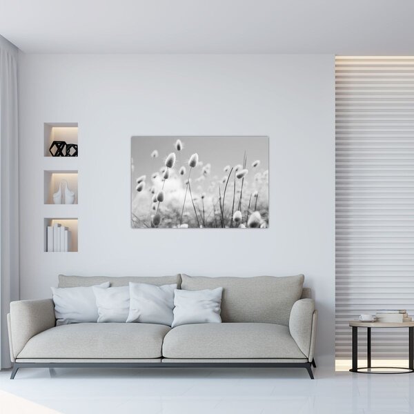 Slika - Boho trava od zečjeg repa (90x60 cm)