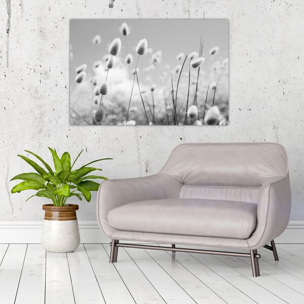 Slika - Boho trava od zečjeg repa (90x60 cm)